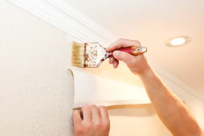 Pose de papier peint à Vaumeilh — revêtements muraux et toiles de verre